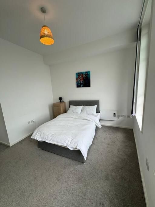 Spacious Flat In Sheffield City Center Gs304 Exterior photo